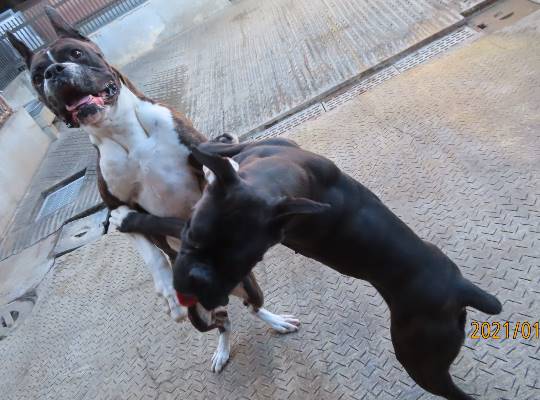 生き物ルーム第33