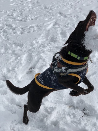 生き物のルーム第32