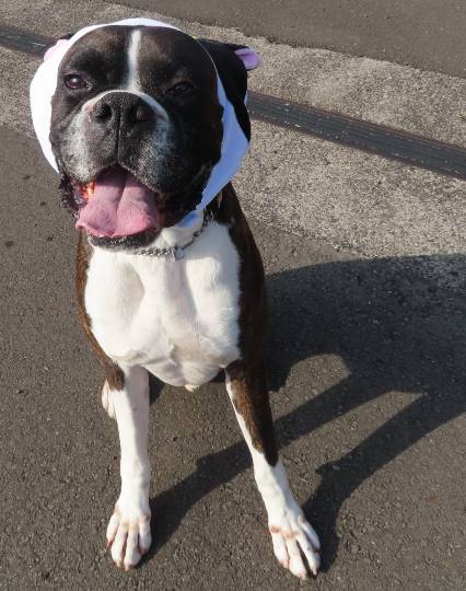 生き物のルーム第32