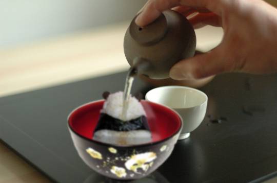 生き物ルーム第33