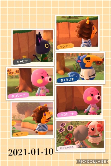 集え遊戯を好みし者等の庵 拾 雑談も善きに計らえ