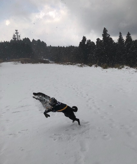 生き物のルーム第32