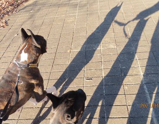 生き物ルーム第33