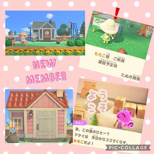 集え遊戯を好みし者等の庵 拾 雑談も善きに計らえ