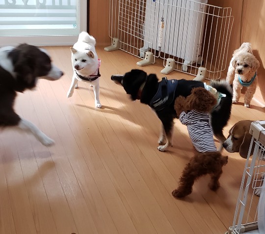 生き物ルーム第33