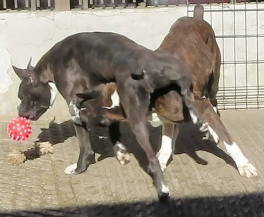 生き物ルーム第33