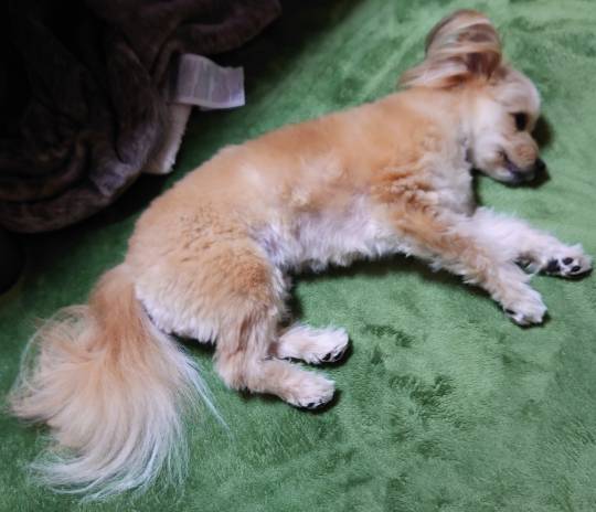 生き物ルーム第33