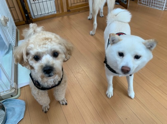 生き物ルーム第33