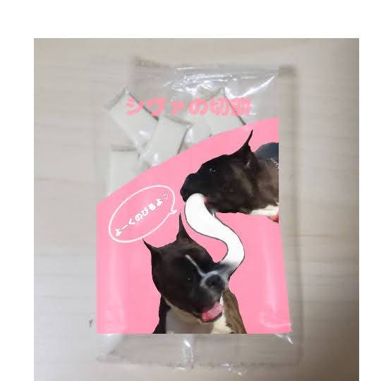 生き物ルーム第33