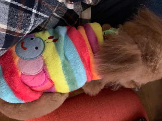 生き物ルーム第33