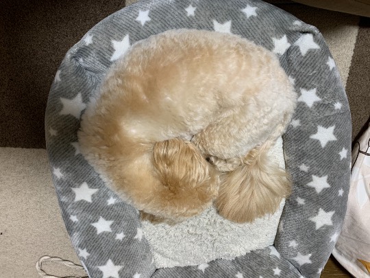 生き物ルーム第33