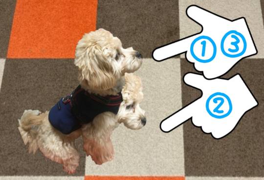 生き物ルーム第33