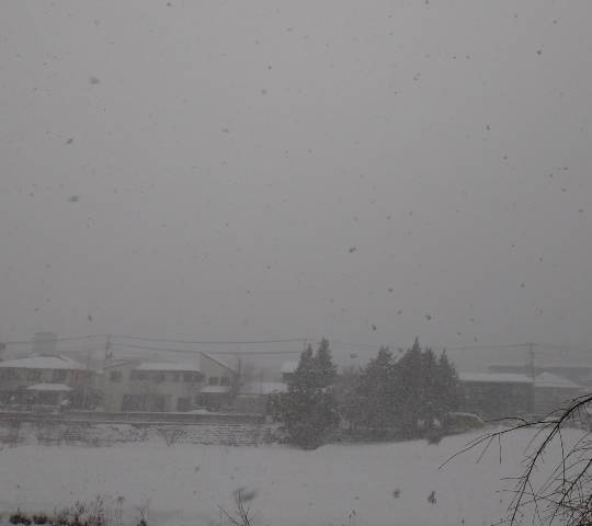 ★ドンキ♡♡ロピア 雑談10★