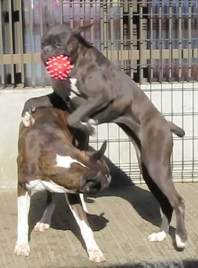 生き物ルーム第33