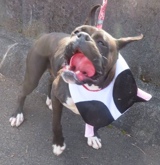 生き物のルーム第32