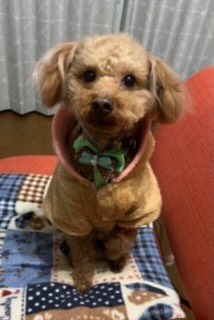 生き物ルーム第33