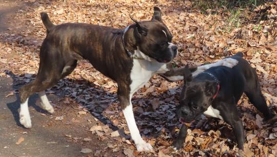 生き物ルーム第33