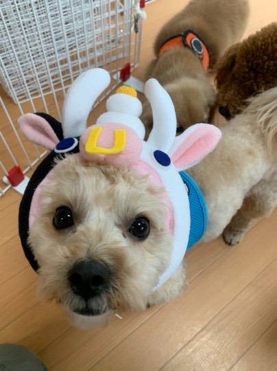 生き物ルーム第33