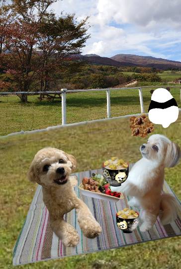 生き物ルーム第33