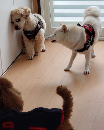 生き物ルーム第33