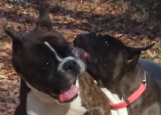 生き物ルーム第33