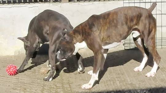 生き物ルーム第33