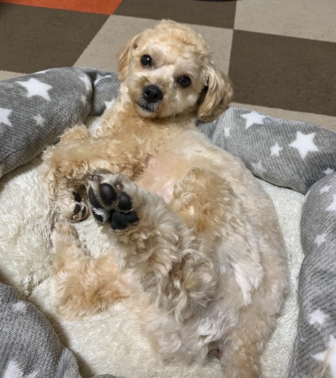 生き物ルーム第33