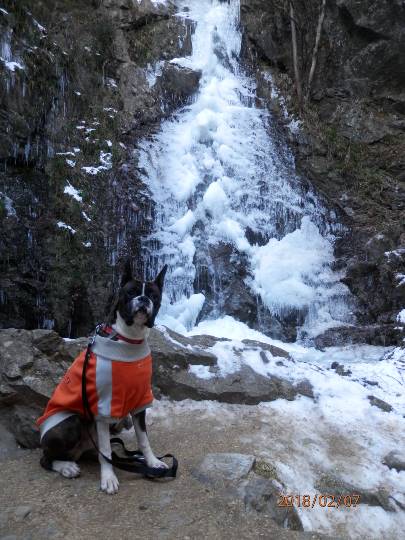 生き物のルーム第32