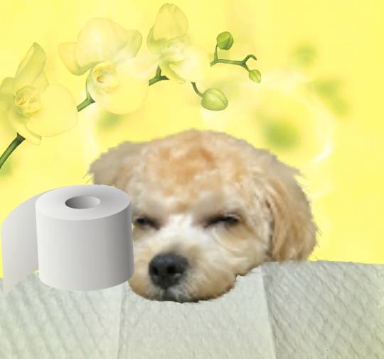 生き物ルーム第33