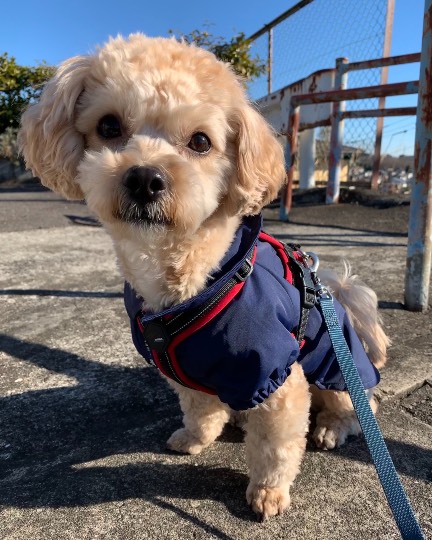 生き物のルーム第32