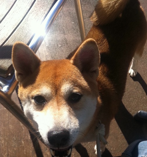 生き物のルーム第32