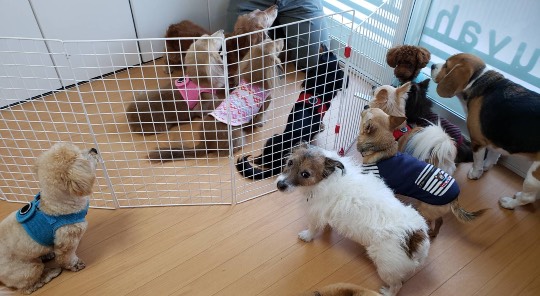 生き物ルーム第33