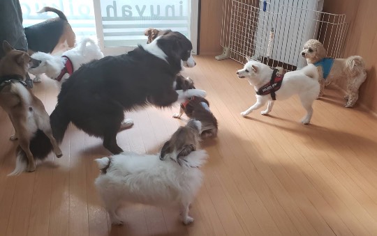 生き物ルーム第33