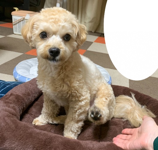 生き物ルーム第33