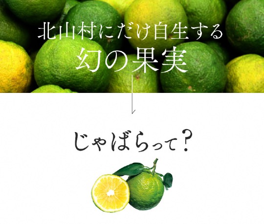 ★ドンキ♡♡ロピア 雑談 9★