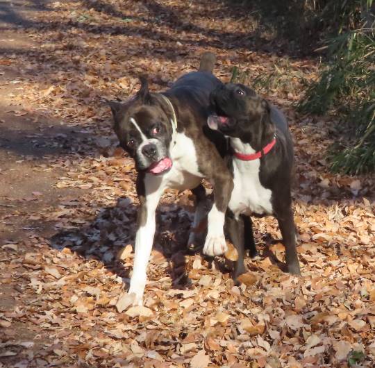 生き物ルーム第33