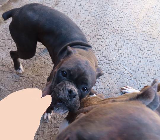 生き物ルーム第33