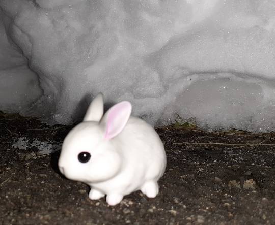 つぶやき57 なるようにする2021