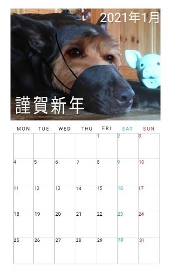 生き物のルーム第32