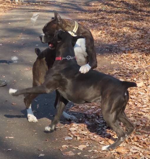 生き物ルーム第33