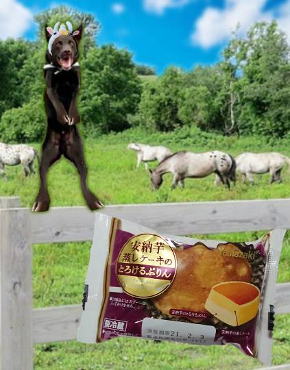 生き物ルーム第33