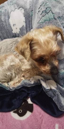 生き物ルーム第33