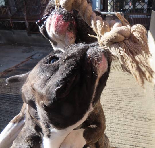 生き物のルーム第32