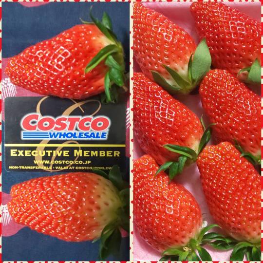 【スナックJINJIN】お待たせいたしました！9号店、本日オープンいたします!!