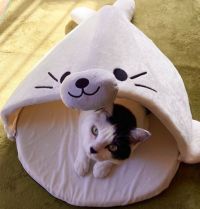 1月30日(土曜日)　ひたちなか倉庫店｜9時半に行きましたが、帰る方もちらほら。...