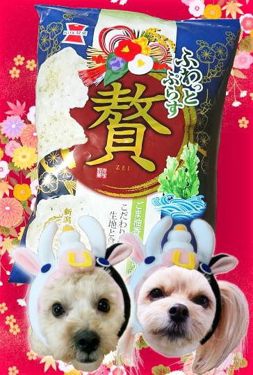 生き物ルーム第33