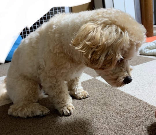 生き物ルーム第33