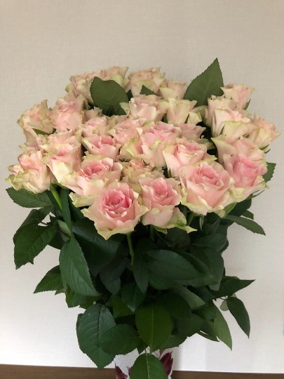 【スナックJINJIN】お待たせいたしました！9号店、本日オープンいたします!!