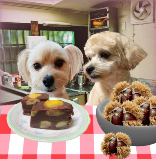 生き物のルーム第32