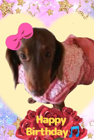 生き物ルーム第33